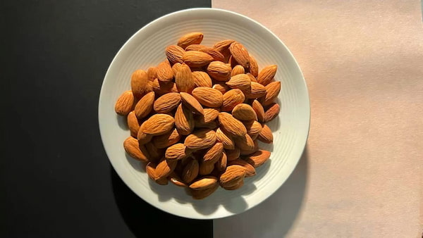تصویر 4 از قیمت مغز بادام شاهرودی شور + خرید باور نکردنی